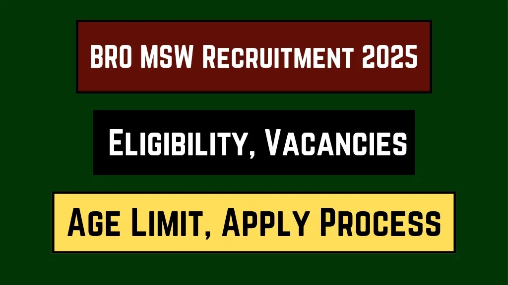 BRO MSW Recruitment 2025